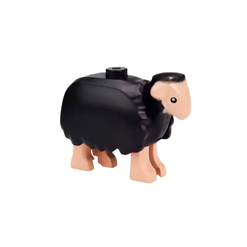 Ovca 01