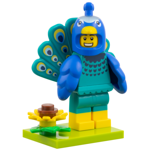 Col28, Peacock Costume Fan