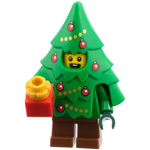 City Child Boy, Christmas Tree Costume