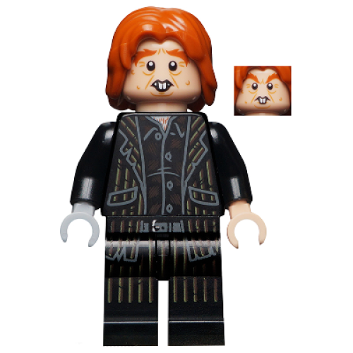 Peter Pettigrew