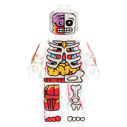 Anatomska figurica