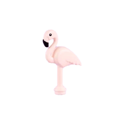 Flamingo 01
