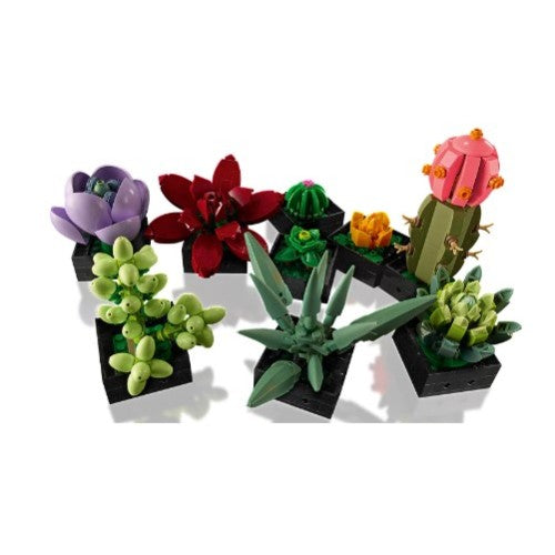 LEGO Botanicals 10309 Sukulente