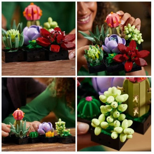 LEGO Botanicals 10309 Sukulente