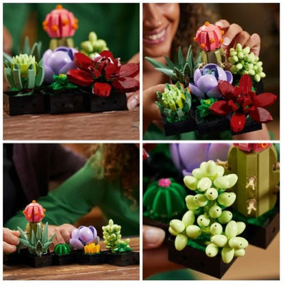 LEGO Botanicals 10309 Sukulente