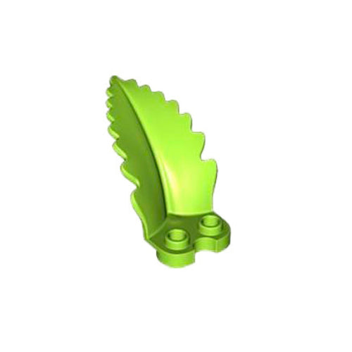 List praprot dvojna lime, 10 kos