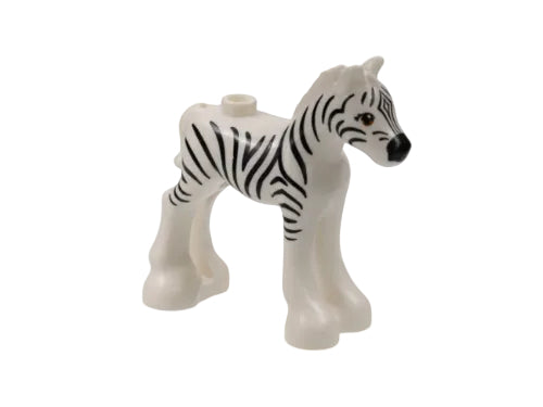 Zebra mladiček, bela